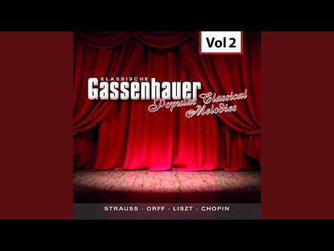 The Tale of Tsar Zaltan, Act III: "Flight of the Bumblebee" (Arranged for Violin and Orchestra)