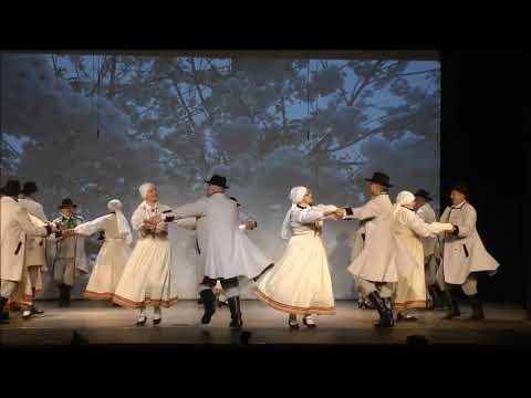 "Ziedēj balta ābelīte",Andreja Ušacka hor.,izpilda SDK"Abelīte".