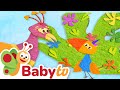 Can Tucky Dance Like A Peacock Animal Behavior For Toddlers BabyTV