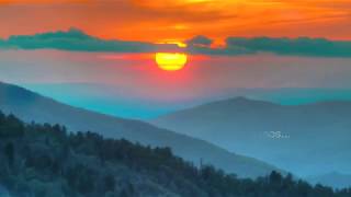 Homeward Bound español