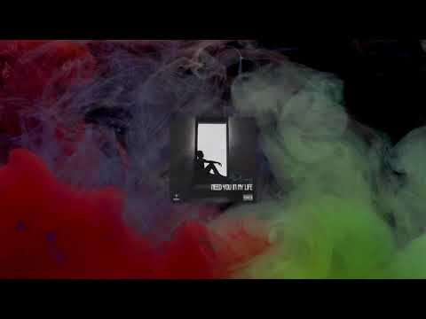 ToxicProdigy - Need You In My Life (Official Audio)