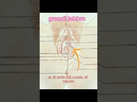 E tu la conosci la tua VULVA?