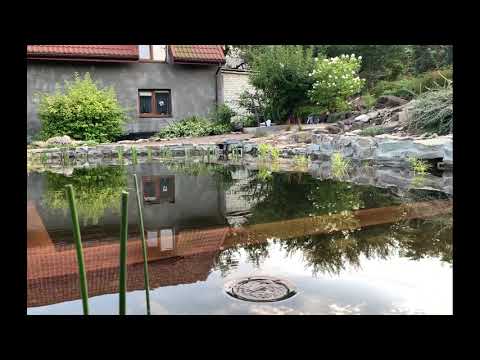 Скиммер Aqua Nova NSK-50 в работе.