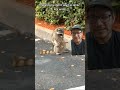 Rabies is very scary...