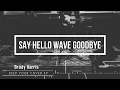 Say Hello Wave Goodbye (lyric video) by Brady Harris