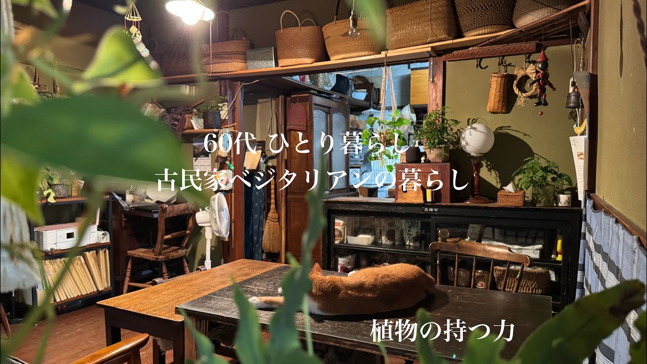 【古民家暮らしのvlog 】自然界の持つ知性/バージョンアップしたさつま芋マフィン/猫