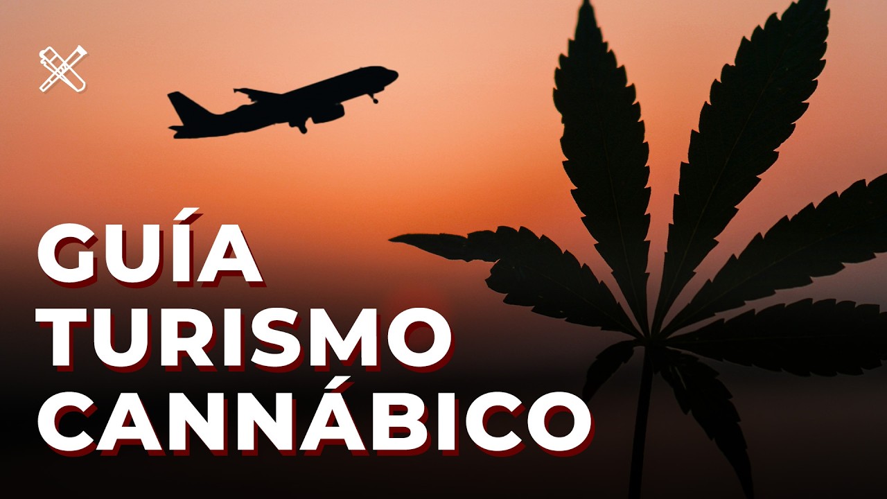 La guía de TURISMO C*NN*BICO definitiva