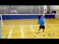 Hitting Tips - Terry Liskevych - The Art of Coaching Volleyball
