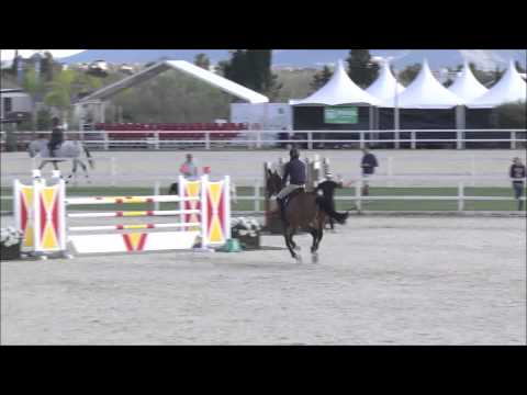 TOSCA DE L ESQUES   Regis Bouguennec   7 Years 1 35m   Valencia 5 11 2014