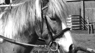 sunny, wherever you will go.