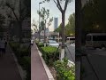 channel