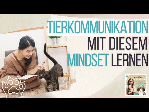 Warum du längst Tierkommunikation kannst - Podcast #204a