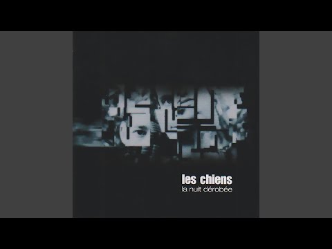 La Nuit Dérobée - Les Chiens