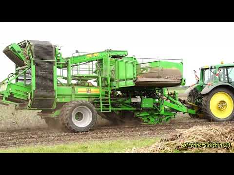 avr accent rooier 24