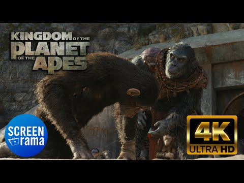 Noa Kills Proximus Caesar - Final Fight Scene | KINGDOM OF THE PLANET OF THE APES (2024)