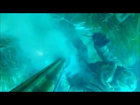 FINALMENTE acqua  bella e la prima cattura di tutto rispetto 💪