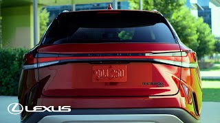 Lexus Accessory Black Badges | Lexus