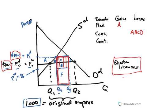 Import quota large country