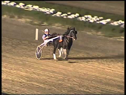 Trotto 04/09/2014 - 3° prova di riqualifica