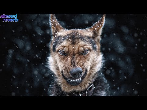 Lil Jon, DJ Snake - Turn Down for What (slowed + reverb)