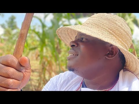 Tubeere begenderezza - Sseviiri Omutabaazi wensi