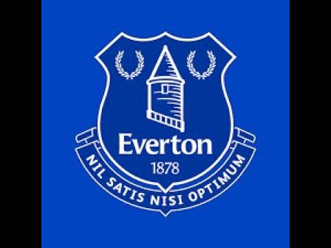 EVERTON FC  -  make a HUGE 1st signing in the transfer window 28 games 14 goals