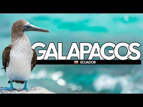 GALÁPAGOS ISLANDS: Nature’s Living Laboratory | Documentary