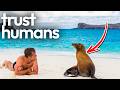 GALÁPAGOS ISLANDS Nature S Living Laboratory Documentary