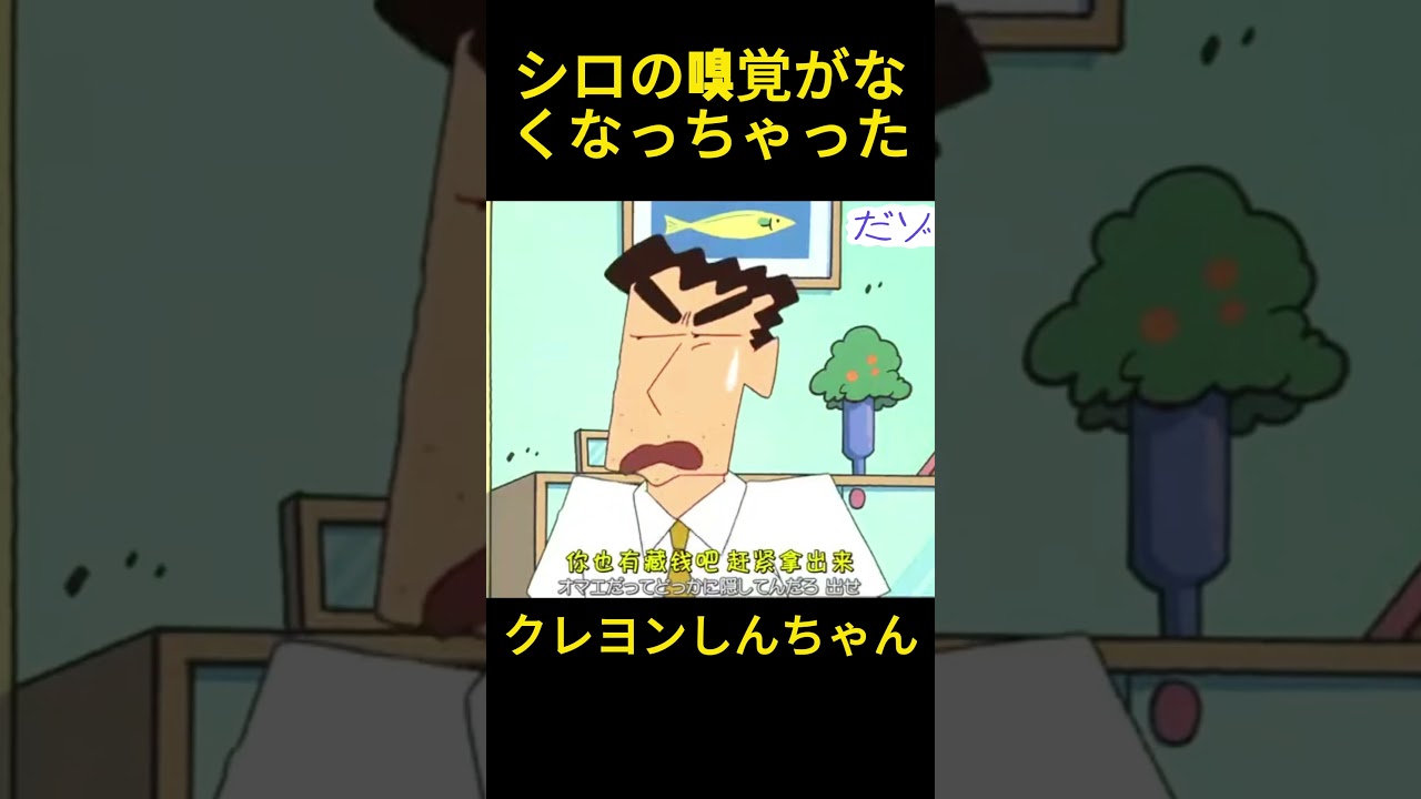 シロの嗅覚が消えた #クレヨンしんちゃん #コントチャンネル #面白い #funny #コント #アニメ
