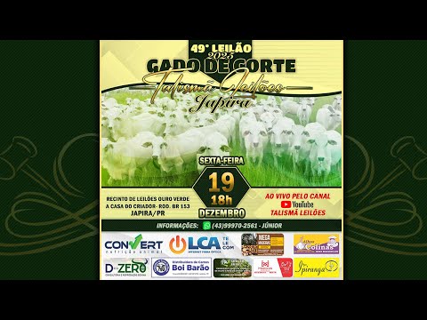 49° Leilão de Gado de Corte - 2025 | Talismã Leilões | Sexta-Feira - 19/12 - 18h | Japira - PR