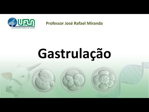 Gastrulation