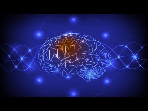 The World's First Human Brain-to-Brain Interface