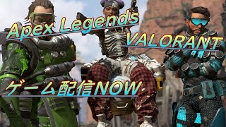 【Valorant】たくさんコメントしてください