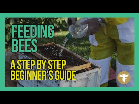 , title : 'Feeding Bees  [A Step By Step Beekeeping for Beginner's Guide]