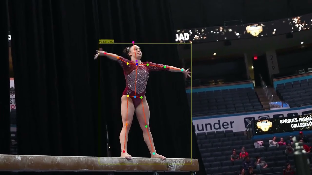 ViTPose: 2D Human Pose Estimation- Kinematic model