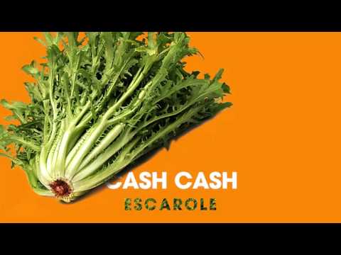 Video thumbnail for Escarole