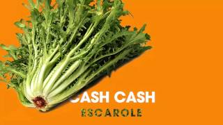 Cash Cash - Escarole