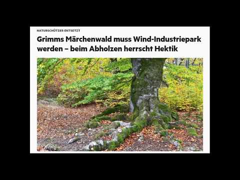 Eine deutsche Frau Nr. 33 - Märchenwald (Mein Lied für den Reinhardswald)