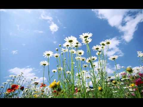 Inima mea pe Tine  Isuse te vrea