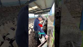 A ENGENHARIA RURAL QUE IMPRESSIONA 😨