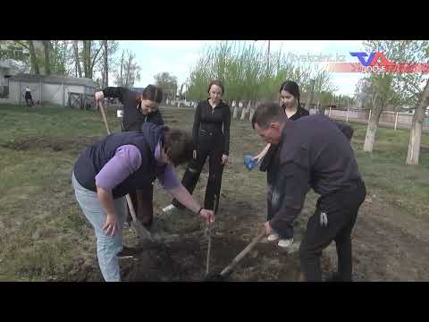 Выпуск программы “День” от 31 марта 2026г.