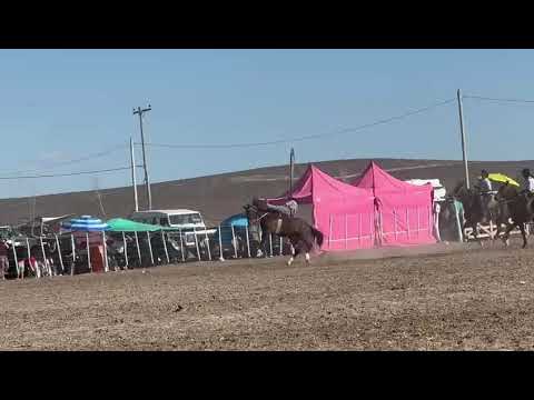 Los menuco provincia de Río Negro argentina