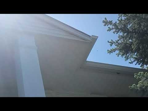 Sunny Side of the Home Suffering from Carpenter Bees in Lanoka Harbor, NJ