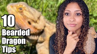 What I Wish I Knew Before Getting A Bearded Dragon