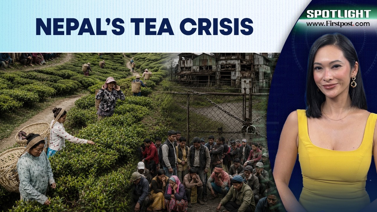 Nepal Tea Industry Shutdown Puts 60,000 Workers at Risk After India Curbs | Spotlight | N18G