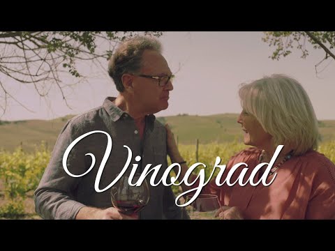 Mladen Grdović i Mejaši - Vinograd (Official lyric video)