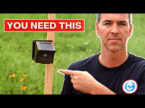 Here's Why You Should Have A Driveway Alarm...