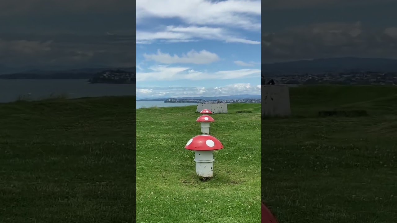 YouTube Short thumbnail