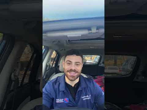 liver grows new cells after 24 HR fast in mice