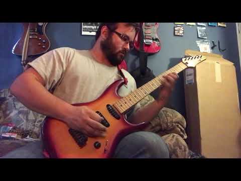 DiMarzio X2N, HS-2, and Chopper.